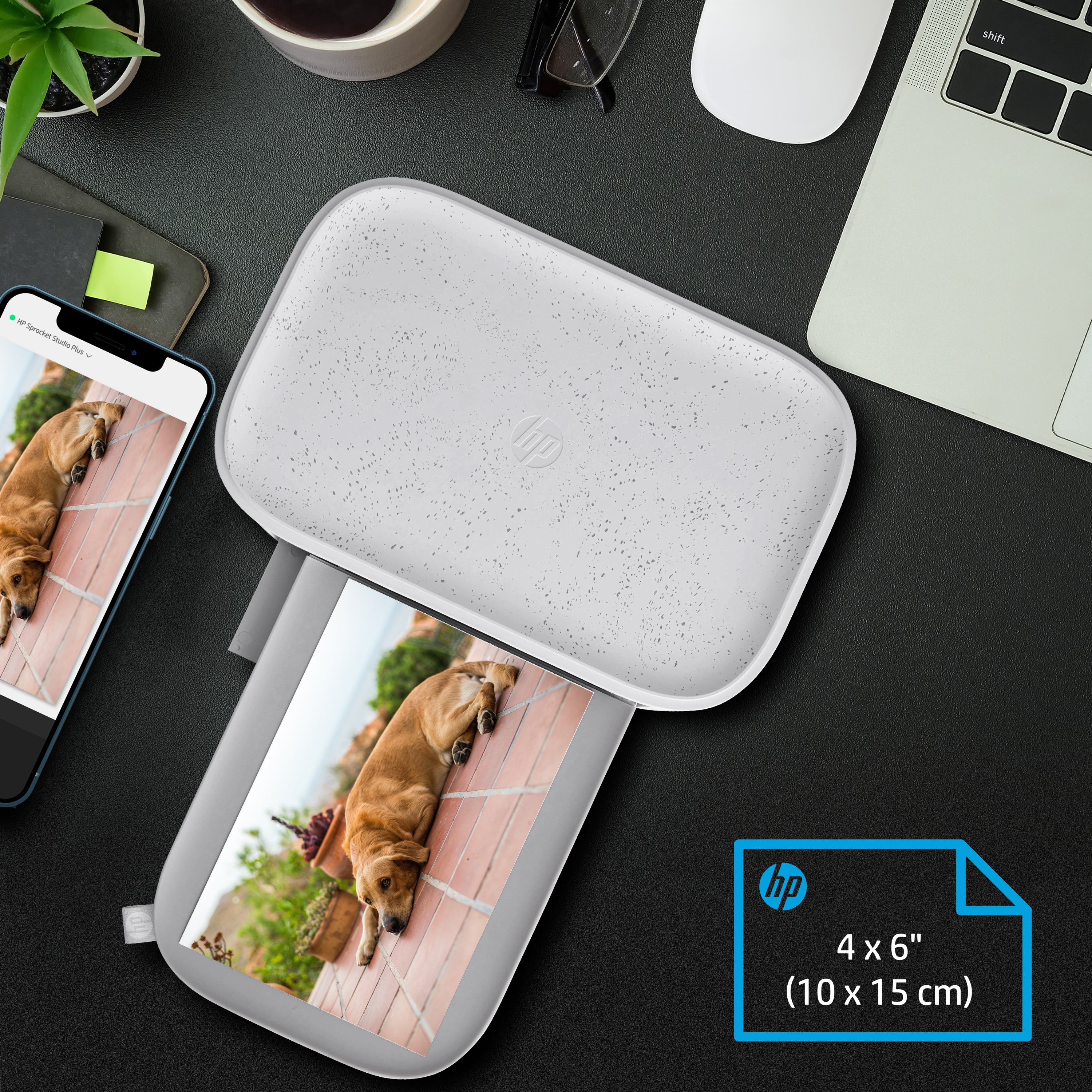 HP Sprocket Studio Plus Photo Printer -  Prints 4x6” Photos from Your iOS & Android Device - Image 5